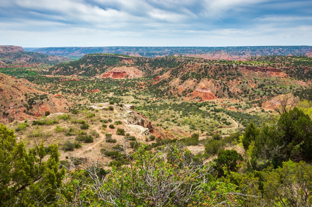 Panhandle Texas